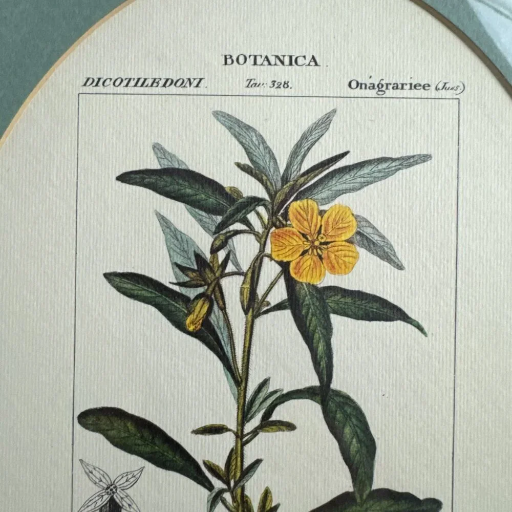 N/A vintage reproduction